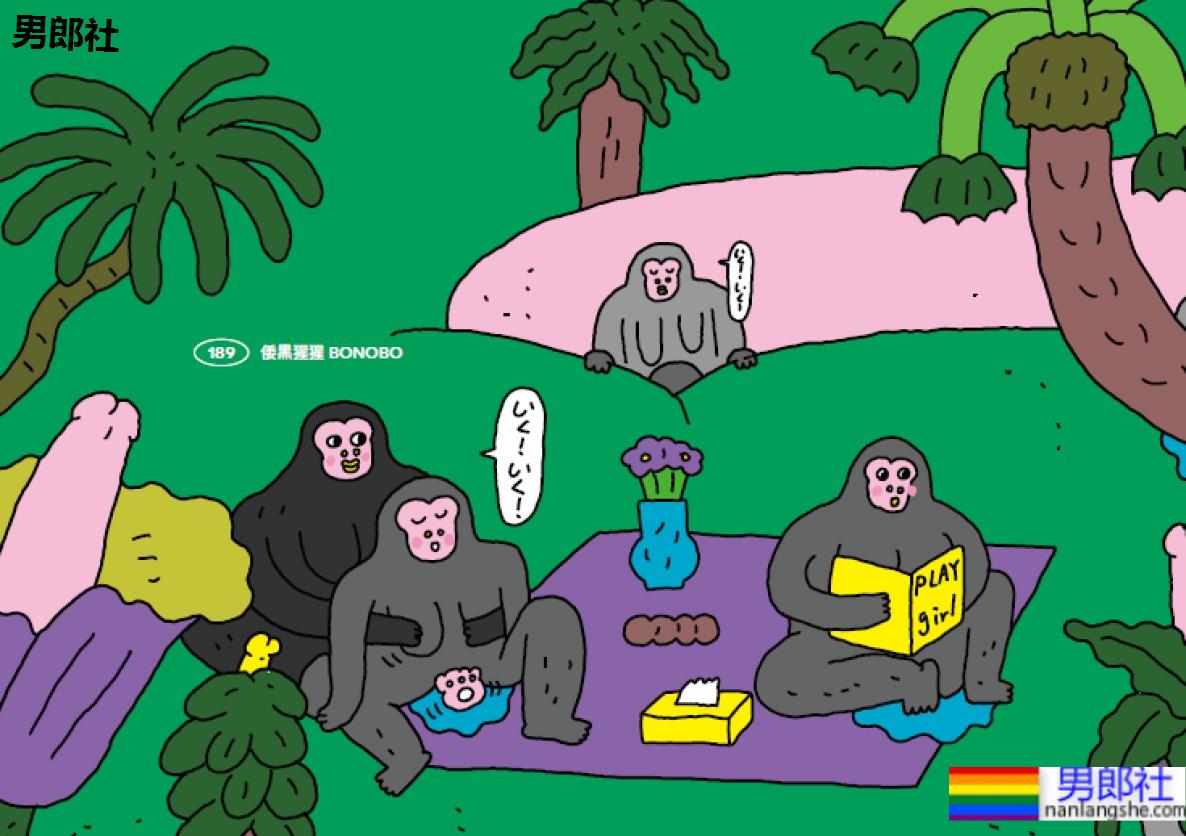 无「啪」不欢还开性爱趴？盘点8种热爱同性性行为的动物！ - 51虹马