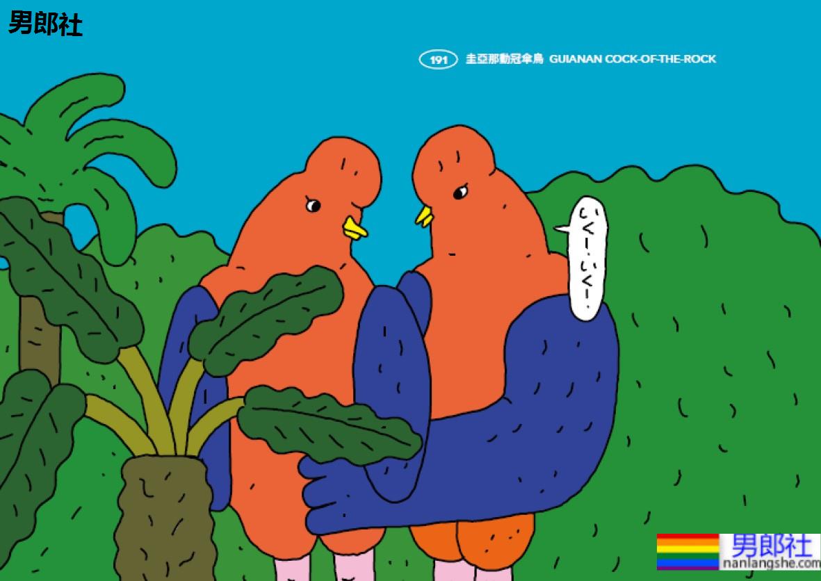 无「啪」不欢还开性爱趴？盘点8种热爱同性性行为的动物！ - 51虹马