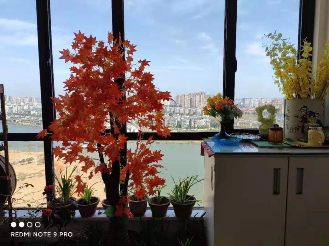 一位81岁男同的幸福晚年:小40岁的帅男友相伴16年了 - 51虹马 一位81岁男同的幸福晚年:小40岁的帅男友相伴16年了 - 51虹马