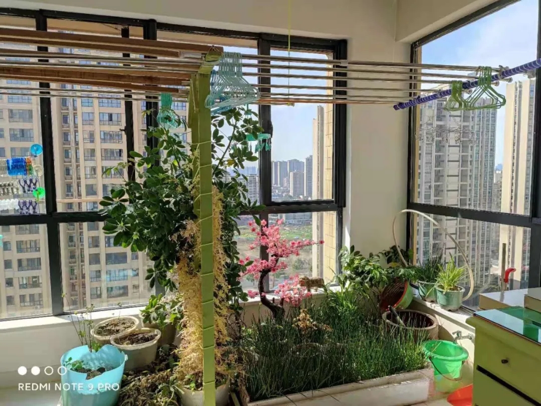 一位81岁男同的幸福晚年:小40岁的帅男友相伴16年了 - 51虹马 一位81岁男同的幸福晚年:小40岁的帅男友相伴16年了 - 51虹马