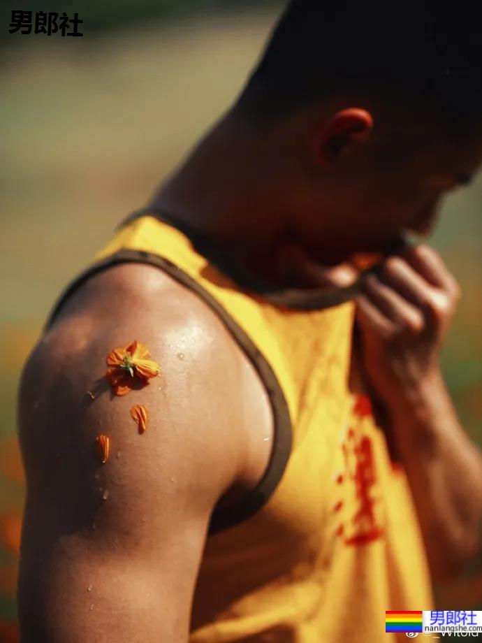 徐维森御用男模硬照大片一览，这肉体治好了网友的性冷淡！ - 51虹马