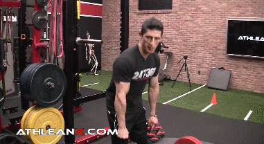 “公狗腰挑战”爆红国外健身圈,这腰力太优秀了 - 51虹马 “公狗腰挑战”爆红国外健身圈,这腰力太优秀了 - 51虹马