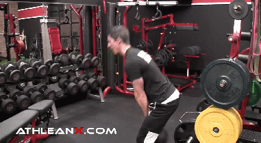 “公狗腰挑战”爆红国外健身圈,这腰力太优秀了 - 51虹马 “公狗腰挑战”爆红国外健身圈,这腰力太优秀了 - 51虹马