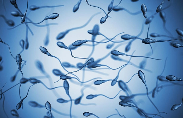 吃精液,防痴呆!科学家发现精液内含「神秘物质」,服用后脑力明显提升 - 51虹马 吃精液,防痴呆!科学家发现精液内含「神秘物质」,服用后脑力明显提升 - 51虹马