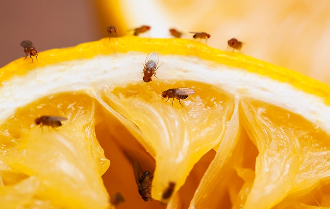 吃精液,防痴呆!科学家发现精液内含「神秘物质」,服用后脑力明显提升 - 51虹马 吃精液,防痴呆!科学家发现精液内含「神秘物质」,服用后脑力明显提升 - 51虹马