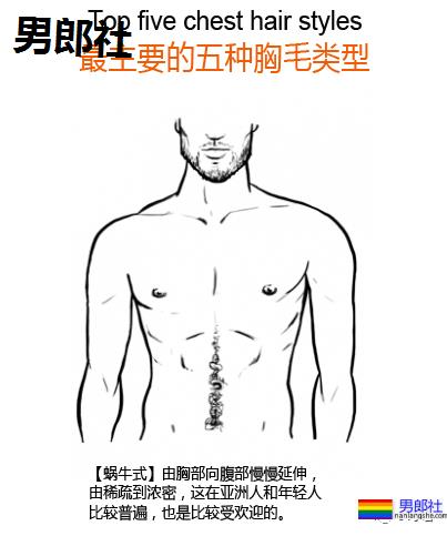 男人的胸毛,真的能让gay神魂颠倒? - 51虹马 男人的胸毛,真的能让gay神魂颠倒? - 51虹马