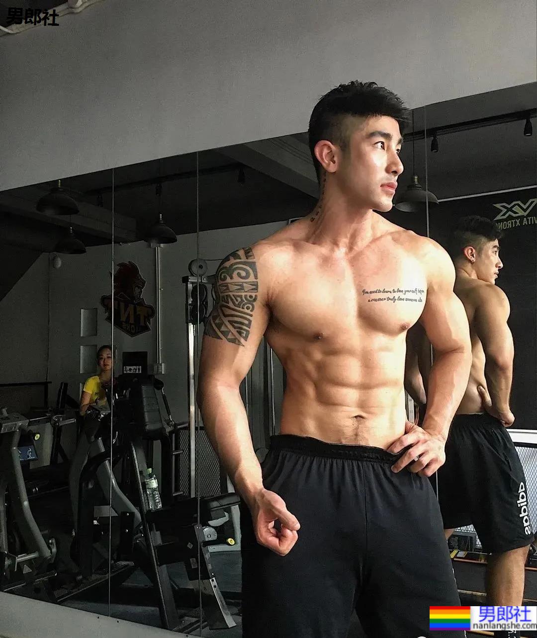 大瓜！Gay圈网红卖淫被抓！ - 51虹马