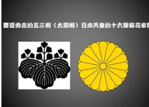 菊花的冷知识（未成年禁入版） - 51虹马