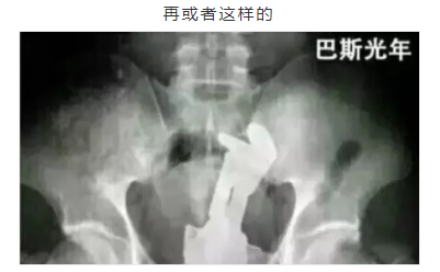 菊花的冷知识（未成年禁入版） - 51虹马