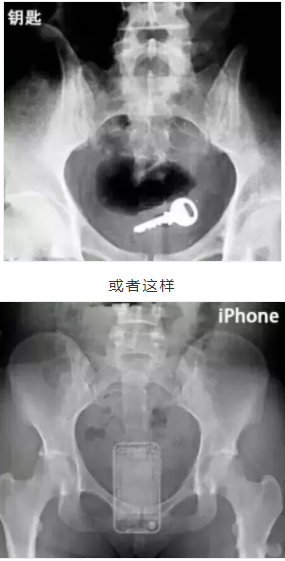 菊花的冷知识（未成年禁入版） - 51虹马