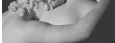 现在怎么那么多Gay装体育生？-51虹马