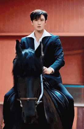 正装骑马小哥六块腹肌走红网络!颜正条顺的肌肉小狼狗,网友都睡不着了!-51虹马