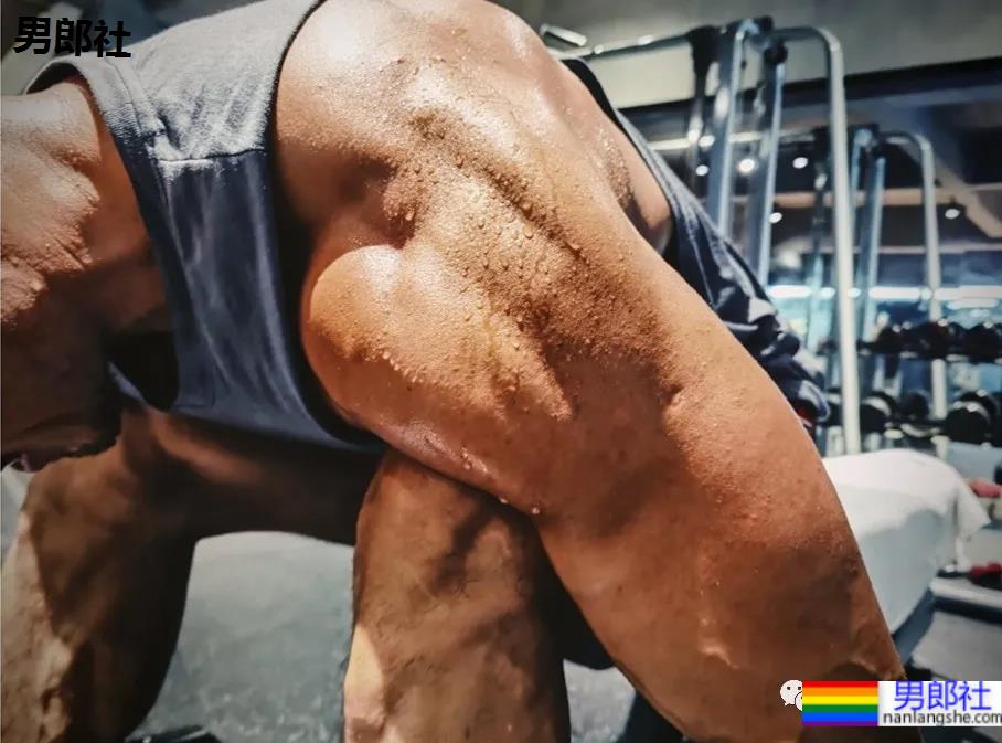 徒手把罗云熙打到缝针！这名大连男模肌肉身材有多吓人？ - 51虹马