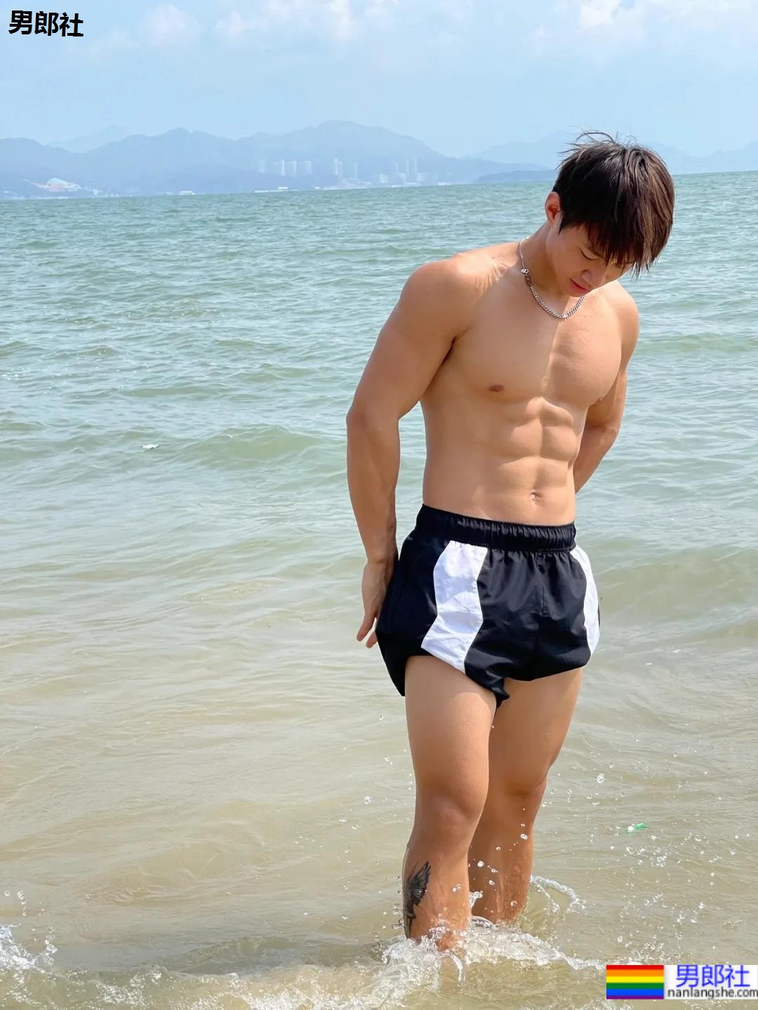 海边抓拍的八块腹肌小狼狗,网友看的都不淡定了! - 51虹马 海边抓拍的八块腹肌小狼狗,网友看的都不淡定了! - 51虹马