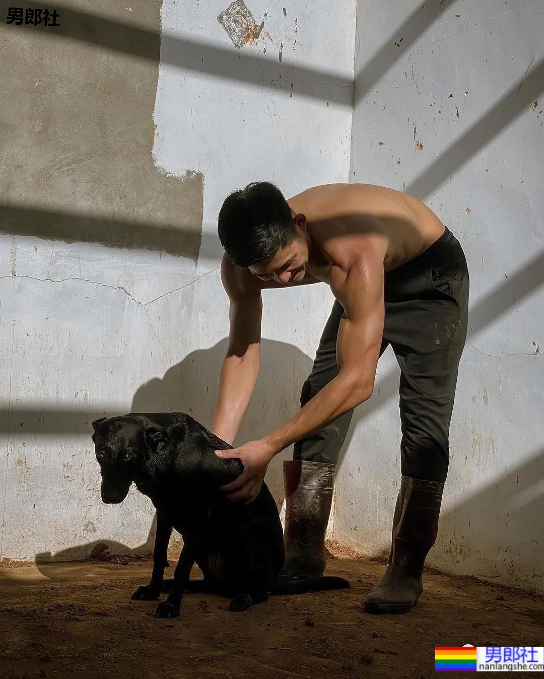 忠犬系排球运动员转行后被指抄袭,这身材网友直呼老公! - 51虹马 忠犬系排球运动员转行后被指抄袭,这身材网友直呼老公! - 51虹马