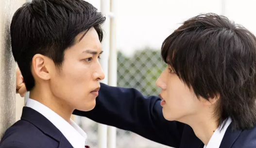 5部：太羞了，这尺杜谁不爱？！ - 51虹马