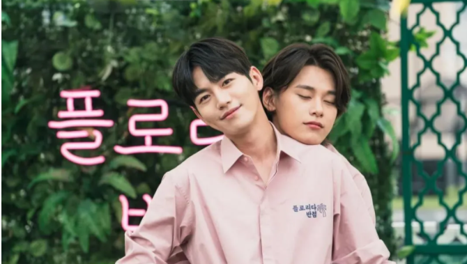 强还是台腐强！两部都这么绝！ - 51虹马