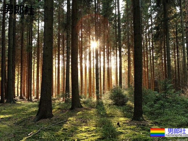 还在传教士吗?教你脸红心跳的性爱小撇步! - 51虹马 还在传教士吗?教你脸红心跳的性爱小撇步! - 51虹马