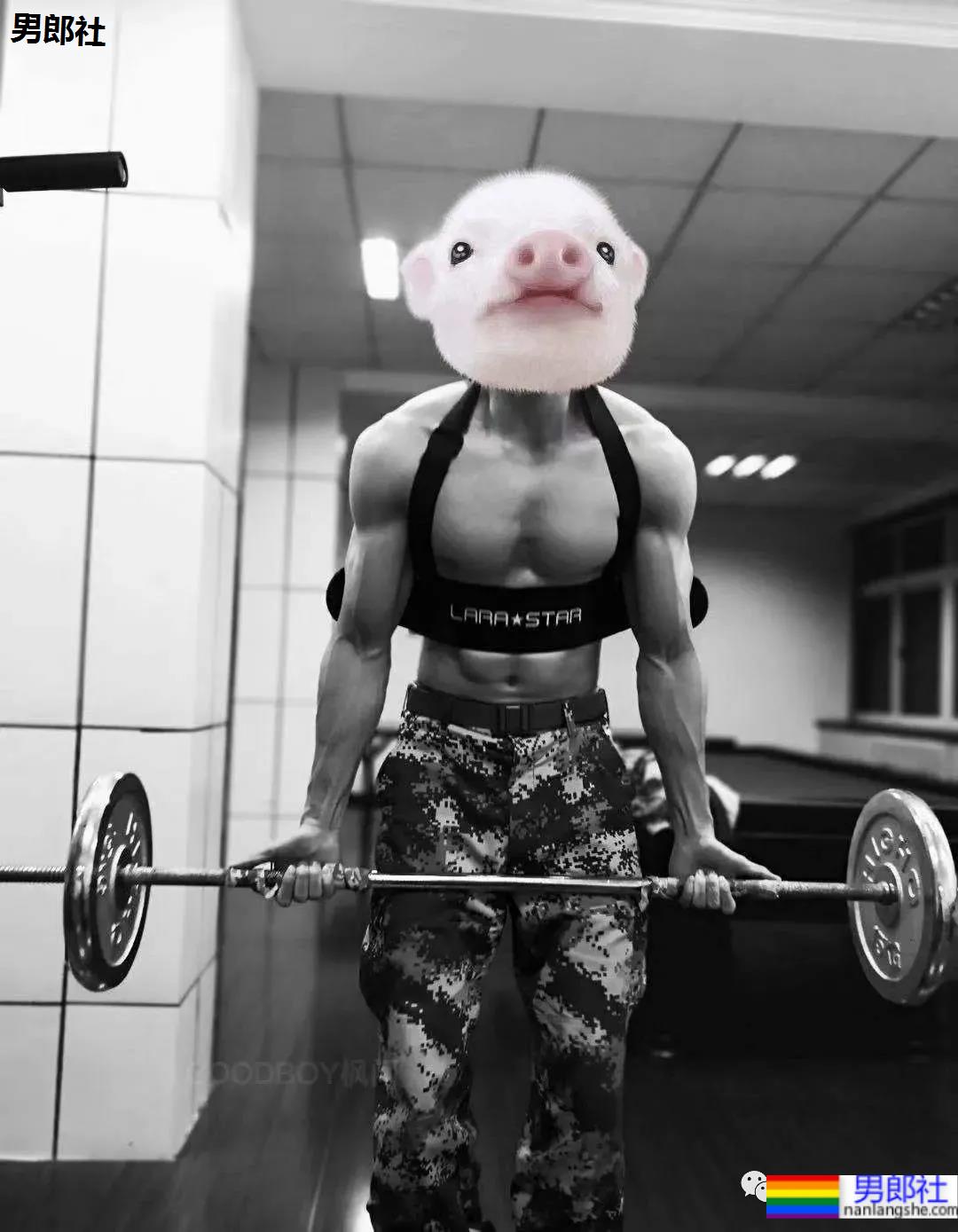 当体育生校草变成8块腹肌的海军小伙后 - 51虹马