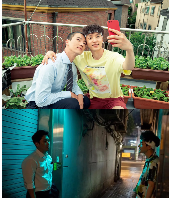 做我的星星,在屋顶唱歌 - 51虹马 做我的星星,在屋顶唱歌 - 51虹马