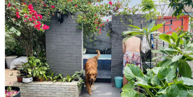 他做过MB,声称已经从良了 | 一宅故事 - 51虹马 他做过MB,声称已经从良了 | 一宅故事 - 51虹马