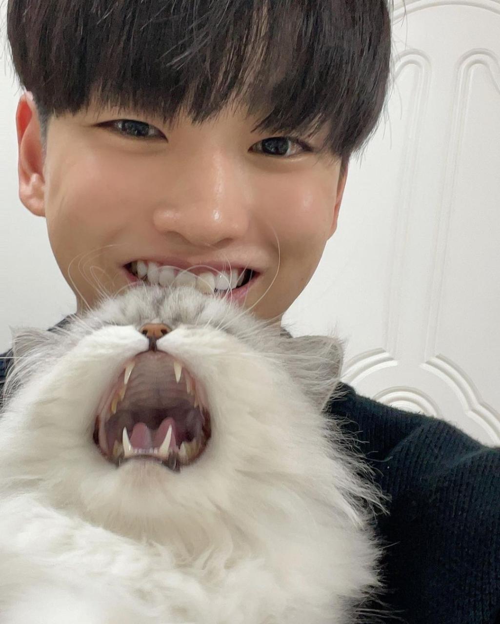 让你一「剑」钟情的肌肉剑士 竟是个抖 M 猫奴：金艺贤 - 51虹马