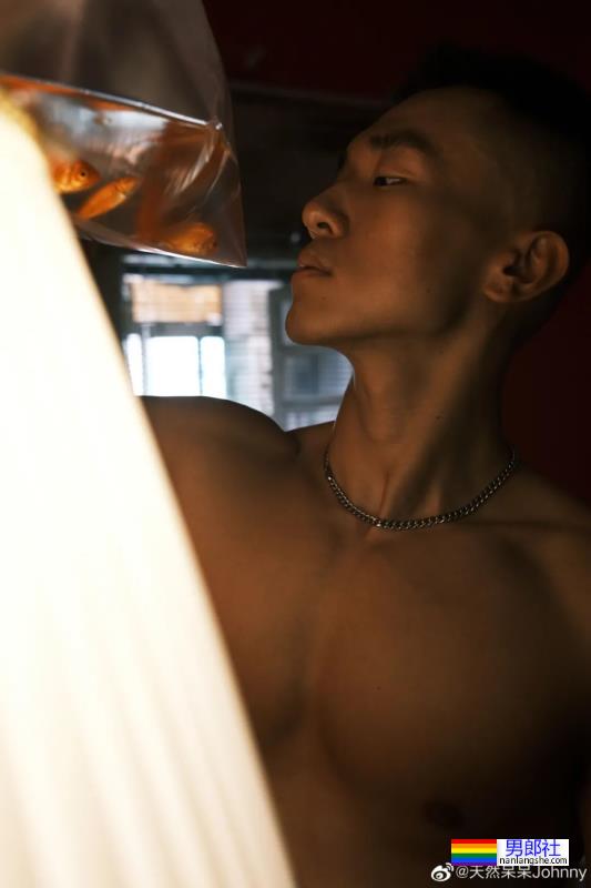 Daily Boy - 51虹马