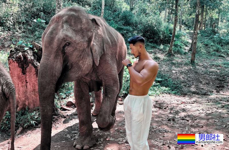 毛若懿最新硬照一览!如今网红帅哥都跑去西双版纳出片了? - 51虹马 毛若懿最新硬照一览!如今网红帅哥都跑去西双版纳出片了? - 51虹马