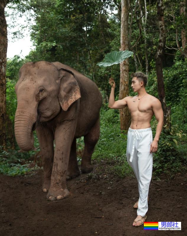 毛若懿最新硬照一览!如今网红帅哥都跑去西双版纳出片了? - 51虹马 毛若懿最新硬照一览!如今网红帅哥都跑去西双版纳出片了? - 51虹马