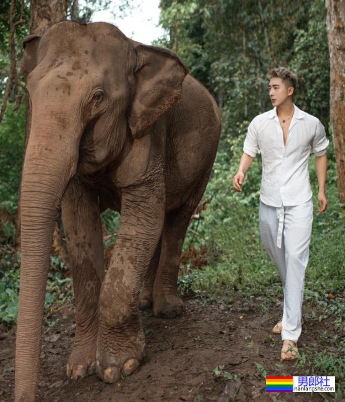 毛若懿最新硬照一览!如今网红帅哥都跑去西双版纳出片了? - 51虹马 毛若懿最新硬照一览!如今网红帅哥都跑去西双版纳出片了? - 51虹马