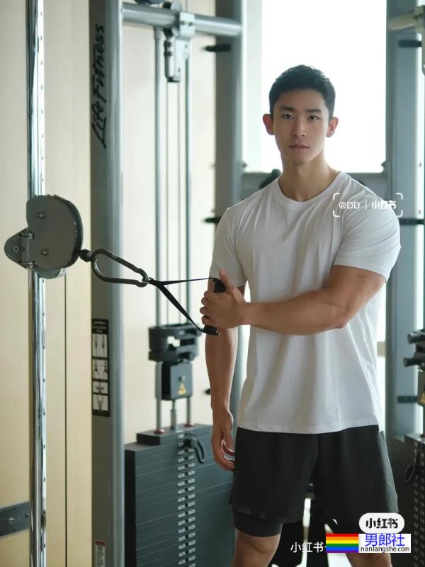 肌肉鲜肉 - 51虹马