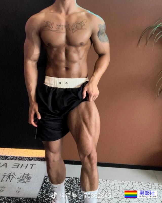 阳光鲜肉 - 51虹马