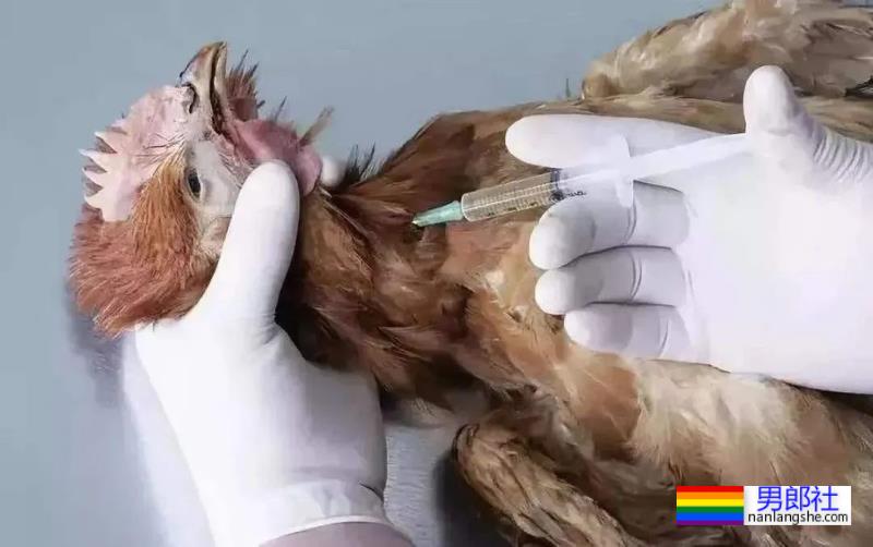 C罗竟然往那里注射肉毒？？这得多疼啊……-51虹马