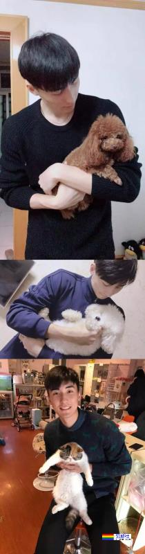 十年首胜伊朗，中国男排第一帅哥不允许你们不知道！ - 51虹马