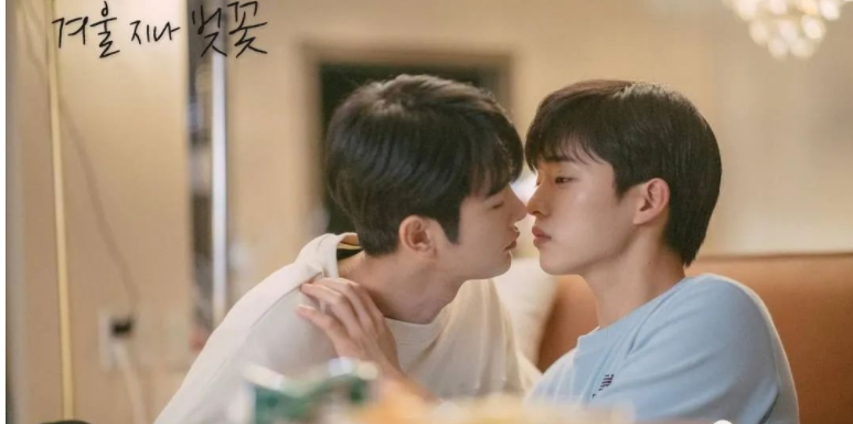 百部腐剧，2022年终盘点(下)；国产、日韩、欧美篇 - 51虹马