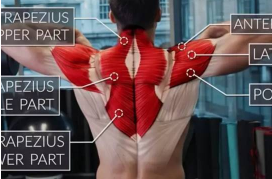 男人怎么成为行走的衣架子，干货教程来了！ - 51虹马