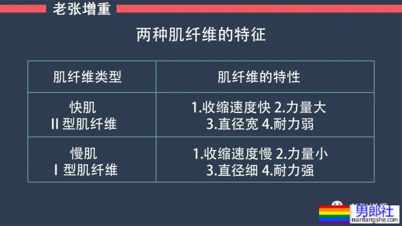每天俯卧撑、深蹲、卷腹各100个，再加10公里跑步会变成什么样？ - 51虹马