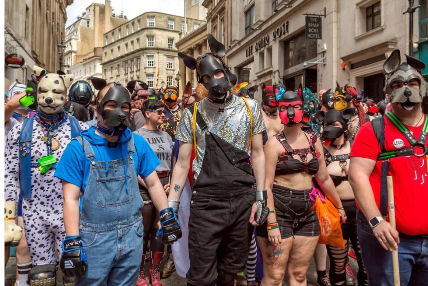 男同志狗奴怎麼玩？ 犬：進入「小狗模式」是狂喜，也是平靜。 - 51虹马