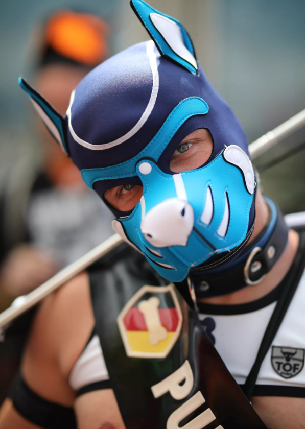 男同志狗奴怎麼玩？ 犬：進入「小狗模式」是狂喜，也是平靜。 - 51虹马