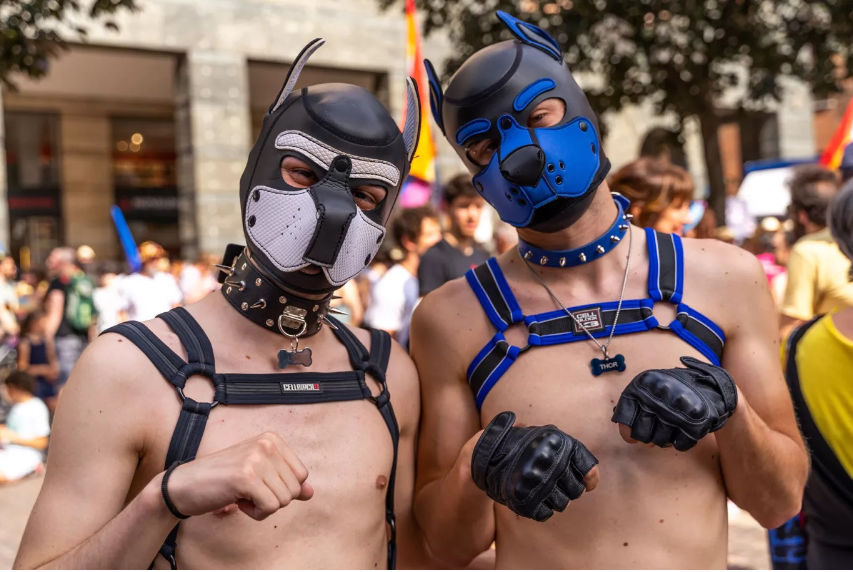 男同志狗奴怎麼玩？ 犬：進入「小狗模式」是狂喜，也是平靜。 - 51虹马