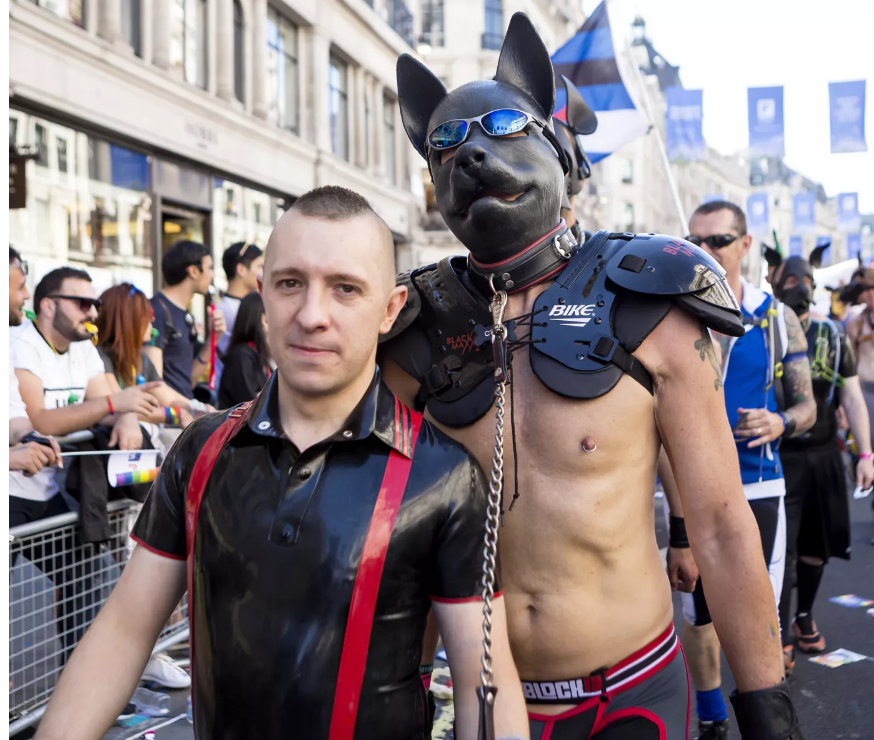 男同志狗奴怎麼玩？ 犬：進入「小狗模式」是狂喜，也是平靜。 - 51虹马