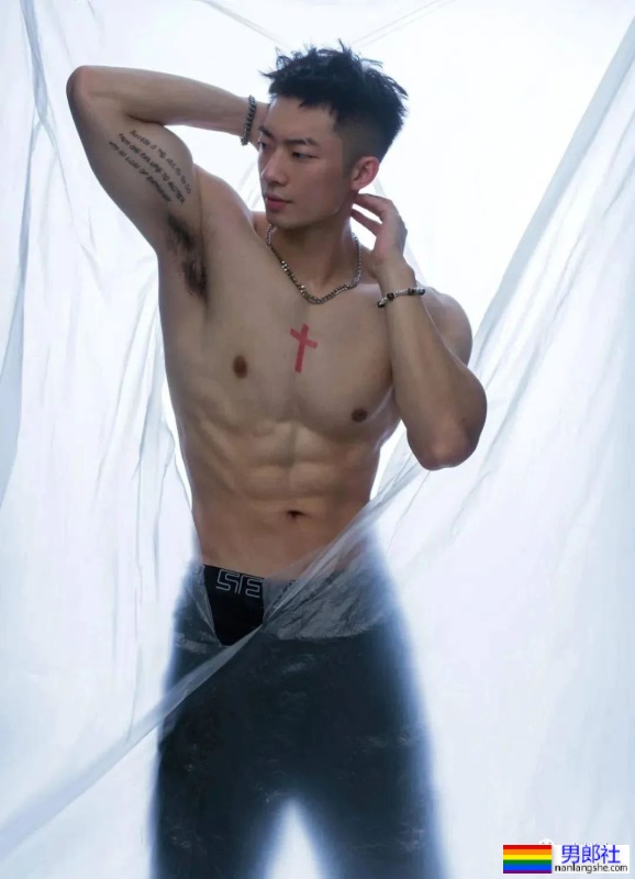 细狗奶狗不如小狼狗，这腰硬的能砸核桃！ - 51虹马