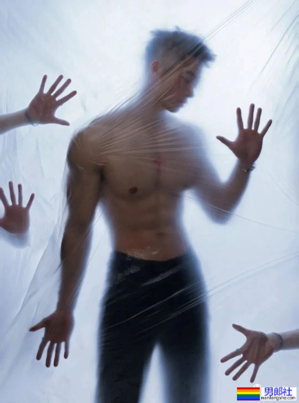 细狗奶狗不如小狼狗，这腰硬的能砸核桃！ - 51虹马