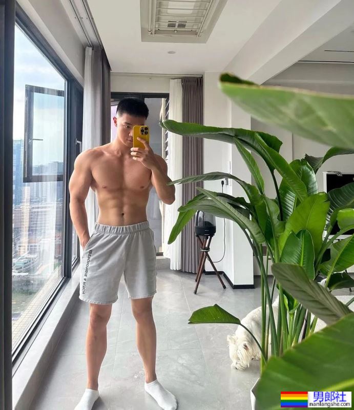 火到湾湾！被称浓眉肌肉底迪的他也太可了！ - 51虹马