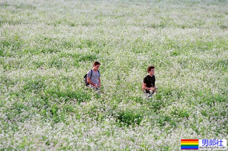 法国同性恋电影《给我你的手》 - 51虹马 法国同性恋电影《给我你的手》 - 51虹马