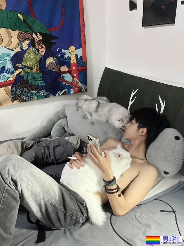 男孩与猫猫 - 51虹马