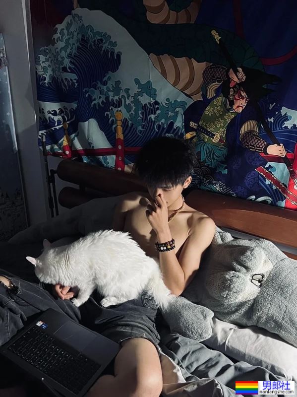 男孩与猫猫 - 51虹马