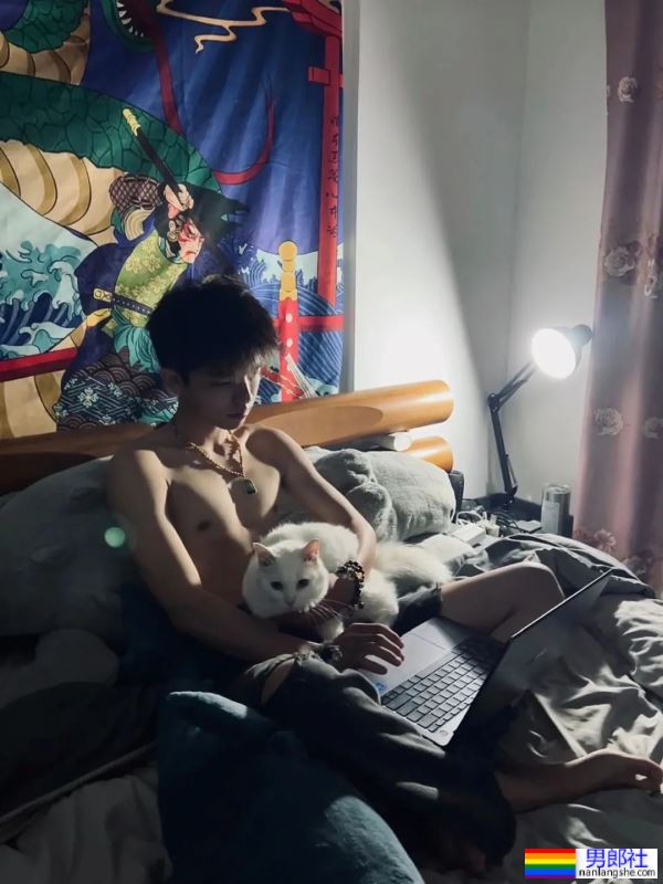 男孩与猫猫 - 51虹马