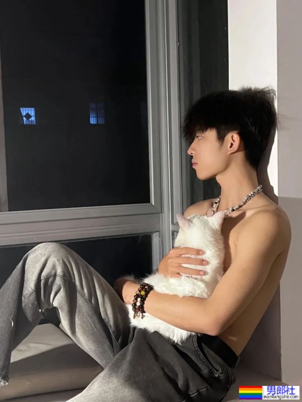 男孩与猫猫 - 51虹马