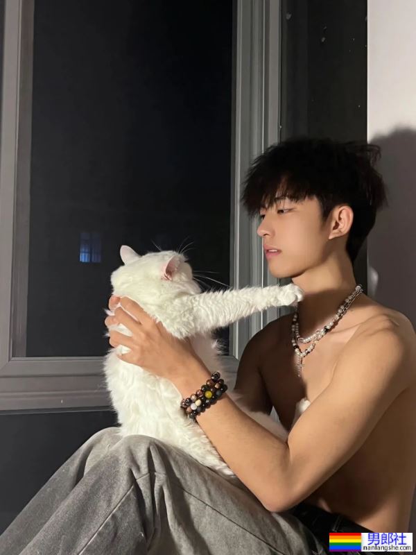 男孩与猫猫-51虹马